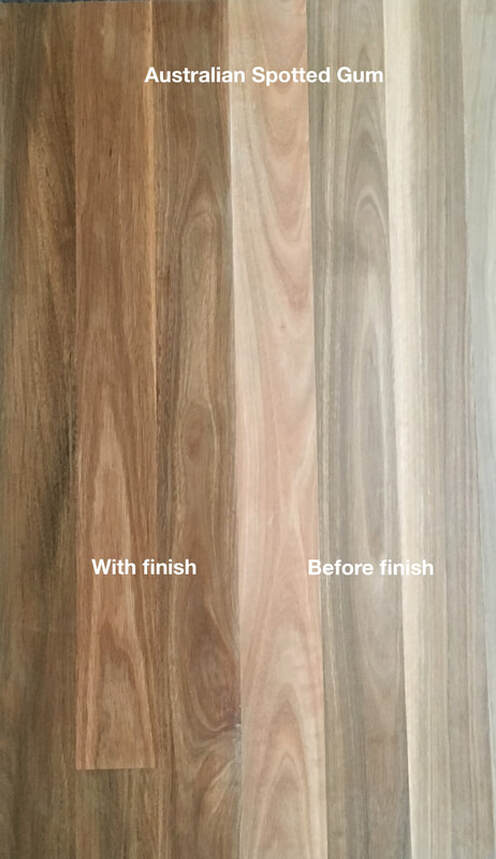 Picture: Australian Spotted Gum flooring with and without finish. A Eucalyptus wood loved for its brown through cream colors and mix of cathedral grain and fiddleback grain.©˙