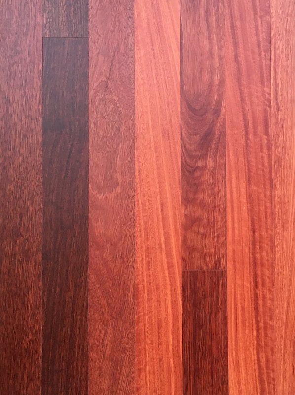 Australian Brushbox flooring has true warm honey colors, and a mix of cathedral grain and satiny fiddleback grain. ©
