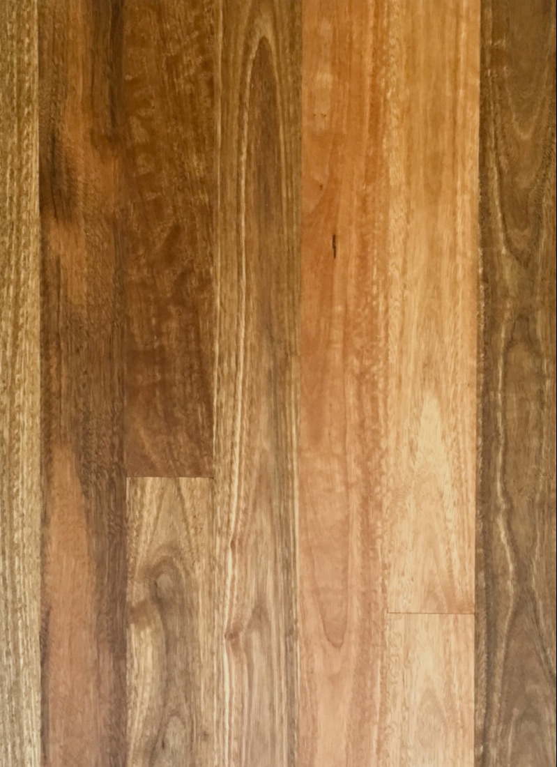 Photo - Australian Spotted Gum solid flooring with Cathedral grain. ©. All rights reserved.
