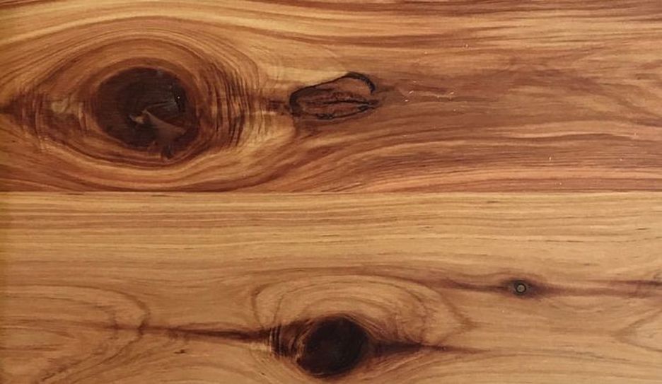 Photo: Close up of engineered Australian Cypress flooring with golden colors and dark brown knots. ©