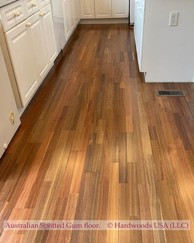 Photo: Spotted Gum floor - installed. ©. All rights reserved.