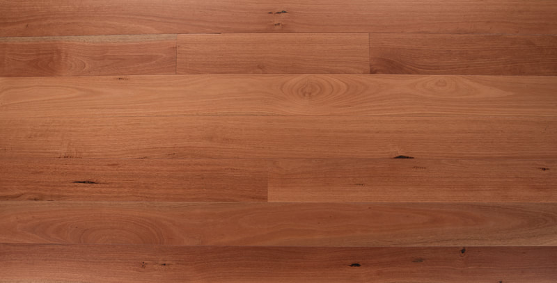 Photo: Sydney Blue Gum engineered flooring. © All rights reserved. 