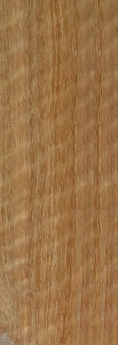 Picture - Australian Spotted Gum with fiddleback grain. ©.