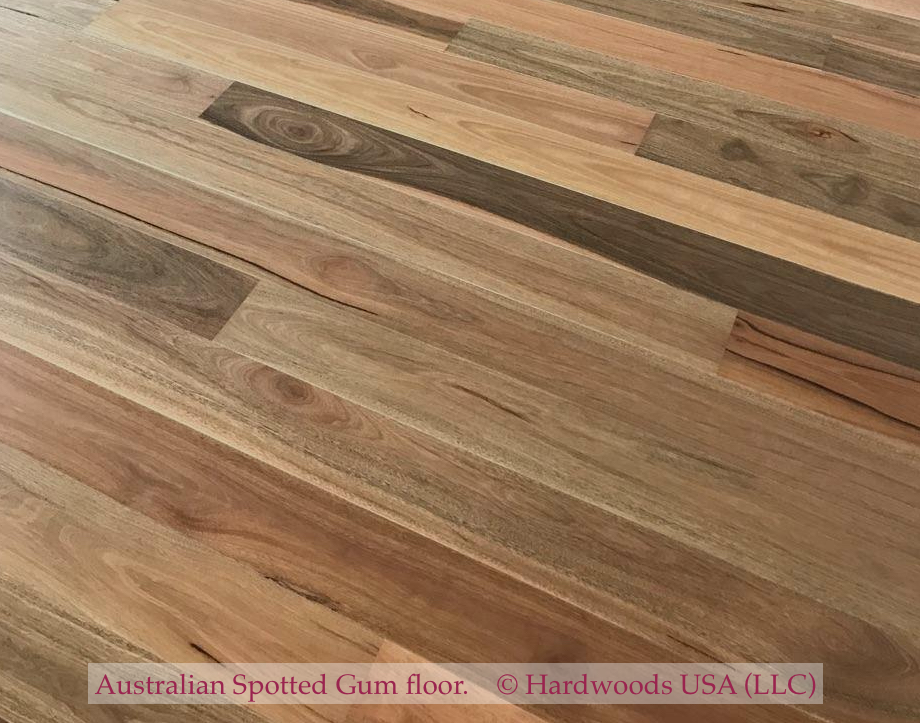 Photo: Australian Spotted Gum flooring installed in a U.S. home. © All rights reserved.