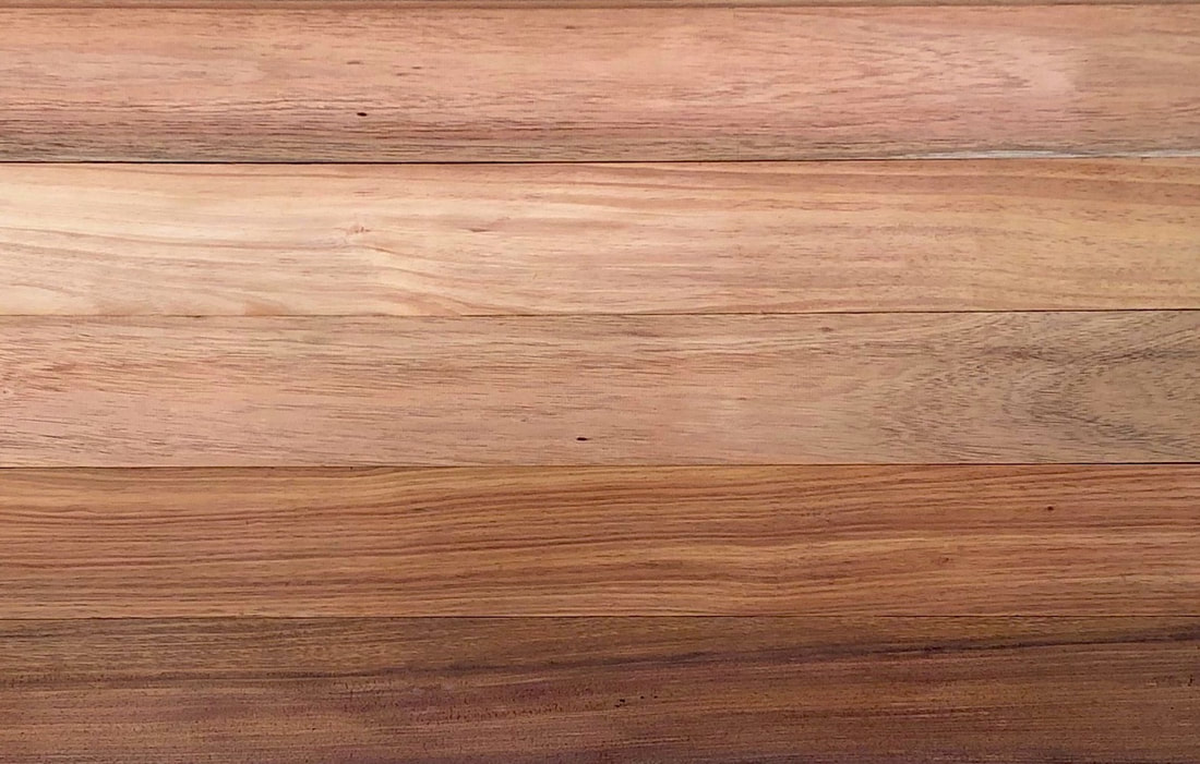 Picture: Australian Koa flooring, showing warm, golden-brown color and straight,  even grain. ©